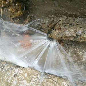 工业园区消防管道漏水检测